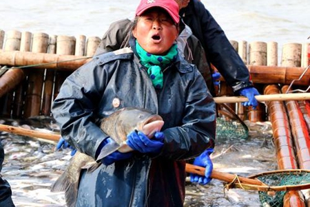 解梦梦见捕鱼的征兆 你的人生会幸福吗 图片5