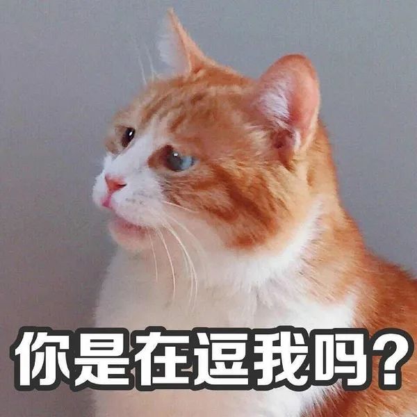 担心透漏过自己的八字会不会被人拿去下降头 图片33