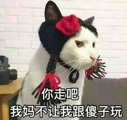 担心透漏过自己的八字会不会被人拿去下降头 图片35