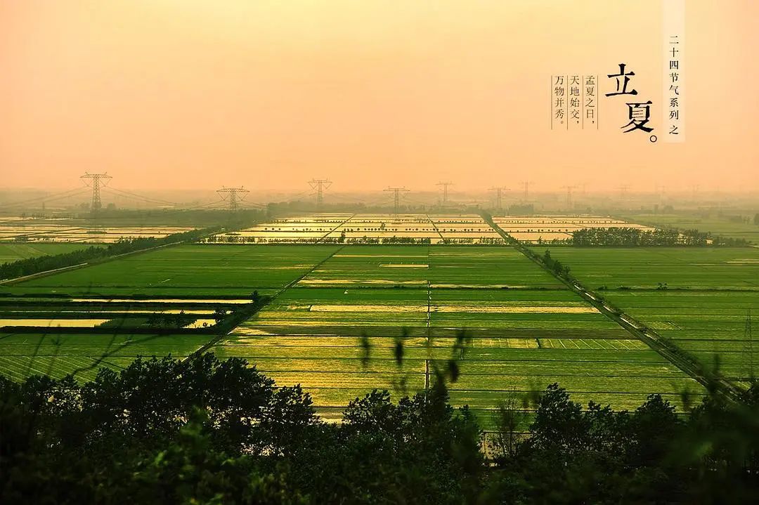 辛巳月运丨入夏，阳气起，终于盼来个平稳点的月份 图片1