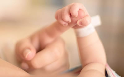 郑姓新生婴儿取名郑姓宝宝名字大全 图片2 郑姓新生婴儿取名郑姓宝宝名字大全 图片1