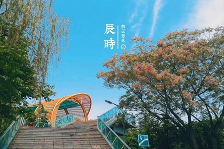 辰时出生的人性格如何 他们适合结交吗 图片1
