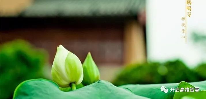 究竟是什么在决定着我们的命运 图片15
