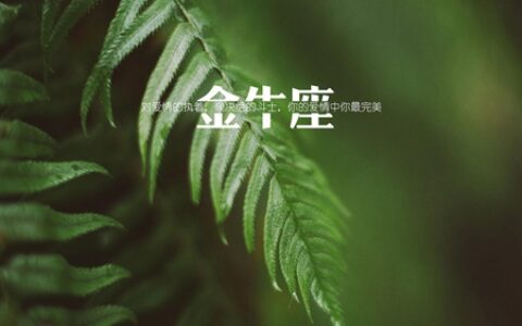 2021年金牛座6月运势详解 全力以赴就有收获
