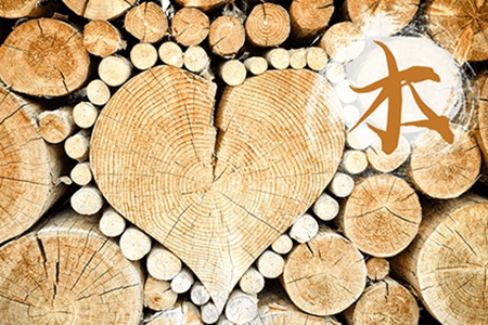 五行属木之人的性格如何 他们能长命百岁吗 图片1