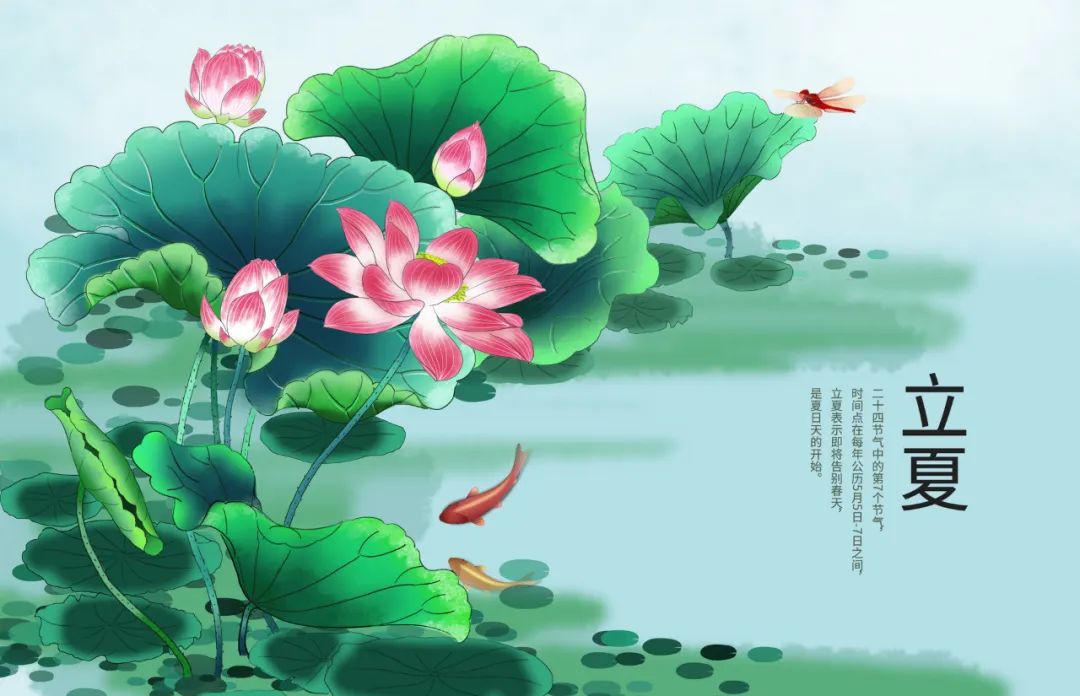 立夏开运养生法 图片6 立夏开运养生法 图片5