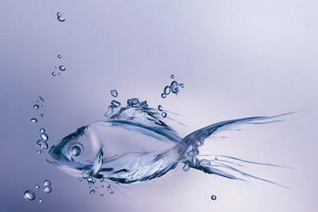 梦见鱼是什么意思 他们会年年有余吗 图片6 梦见鱼是什么意思 他们会年年有余吗 图片5