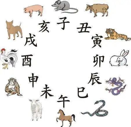 肖战VS孙杨 | 属羊人2020年到底要躺多少枪 图片9