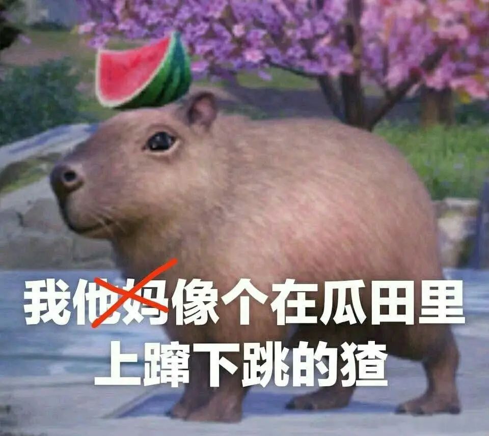 为啥有的人每天只睡四五个小时还能精神百倍 图片2 为啥有的人每天只睡四五个小时还能精神百倍 图片1