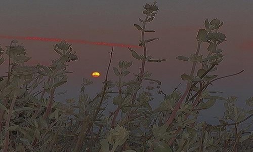 看上去很弱实则是强者的星座大佬 图片5