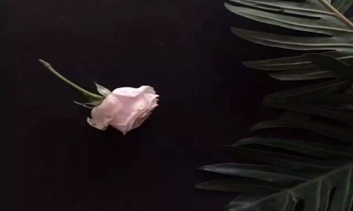 盘点十二星座天蝎女的配对指数（一） 图片3