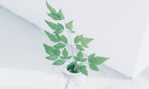 白羊座想分手的预兆不可不知！ 图片3