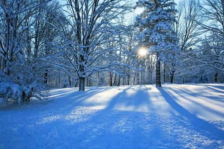 梦见下雪是什么征兆 暗示财运会波折吗 图片1