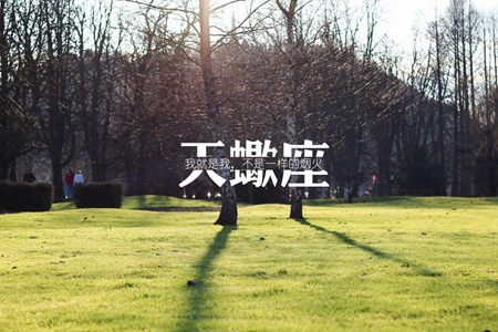 天蝎座男生的性格脾气如何 细数他们的性格恋爱特点 图片2 天蝎座男生的性格脾气如何 细数他们的性格恋爱特点 图片1