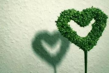 十二生肖最新吉凶运势指南2月13日~2月19日 图片8 十二生肖最新吉凶运势指南2月13日~2月19日 图片7