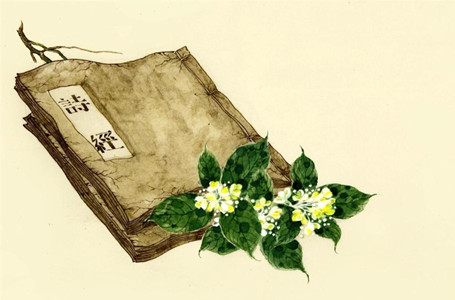 如何用诗经楚辞给宝宝起名字 图片1