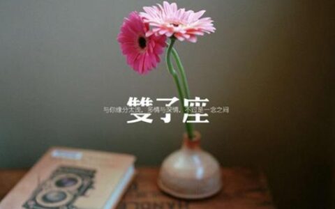 双子座男生性格特点解析 如何攻略双子男