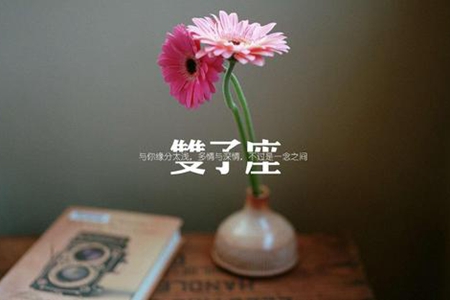 双子座男生性格特点解析 如何攻略双子男 图片6 双子座男生性格特点解析 如何攻略双子男 图片5