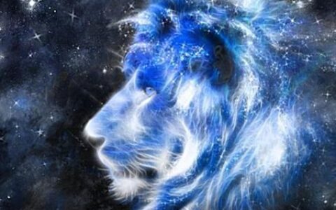 狮子座男生的性格特点解析 狮子男的弱点在哪里