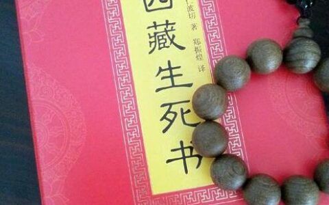 《西藏生死书》可以看吗？