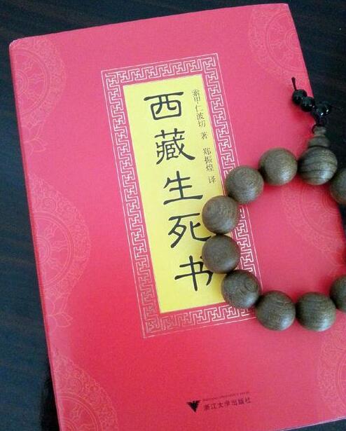 《西藏生死书》可以看吗？ 图片1