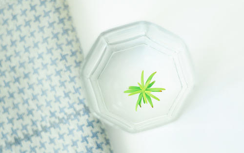 金牛座的真正爱你的表现 图片2 金牛座的真正爱你的表现 图片1