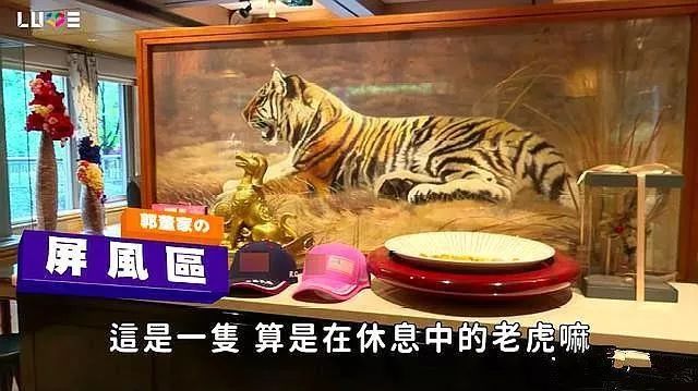属虎人不能参加婚礼？龙蛇年是凶年吗？ 图片17