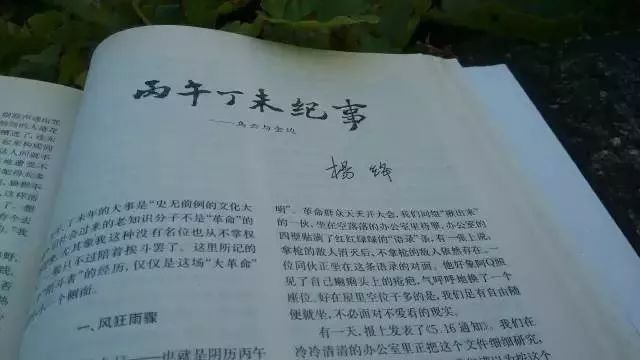 属虎人不能参加婚礼？龙蛇年是凶年吗？ 图片31