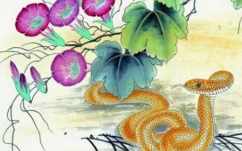 哪些生肖的人特别适合当老板？他们能成为领导人物