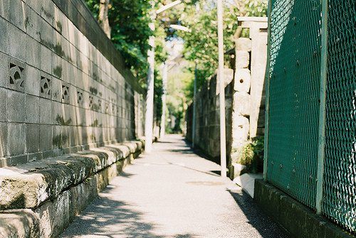 奇怪的狮子座跟谁在一起容易发大财？ 图片5