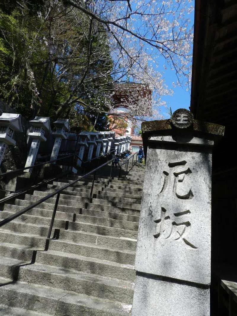佛教和犯太岁 图片1