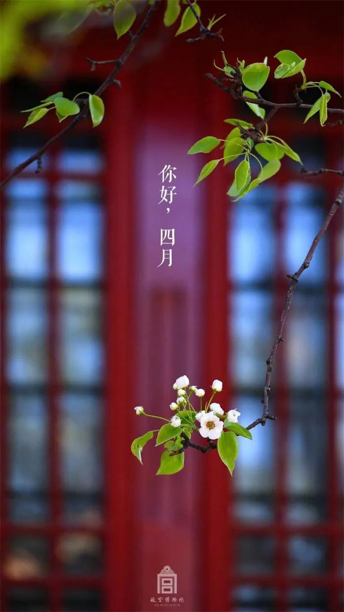 从命理角度预测四月份国家宏观数据 图片1