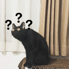 猫真的可以招财吗?养猫有什么玄学问 图片10 猫真的可以招财吗?养猫有什么玄学问 图片9