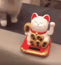 猫真的可以招财吗?养猫有什么玄学问 图片20 猫真的可以招财吗?养猫有什么玄学问 图片19