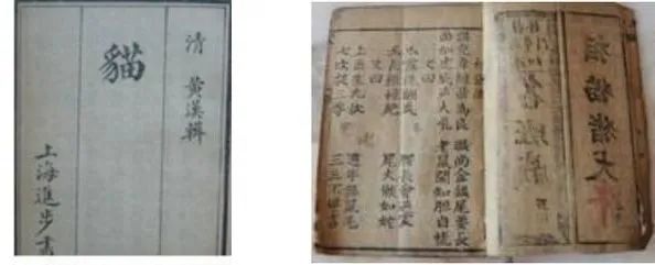 猫真的可以招财吗?养猫有什么玄学问 图片26 猫真的可以招财吗?养猫有什么玄学问 图片25