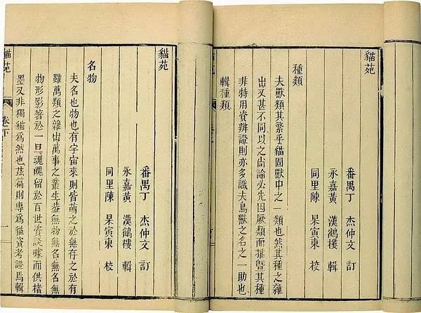猫真的可以招财吗?养猫有什么玄学问 图片28 猫真的可以招财吗?养猫有什么玄学问 图片27