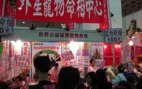 猫真的可以招财吗？养猫有什么玄学问