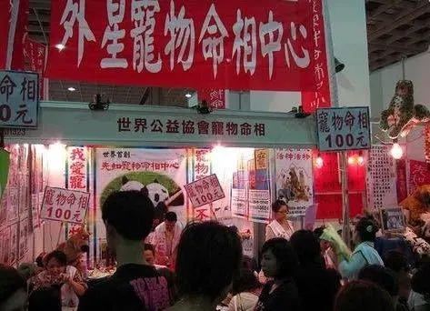 猫真的可以招财吗?养猫有什么玄学问 图片40 猫真的可以招财吗?养猫有什么玄学问 图片39