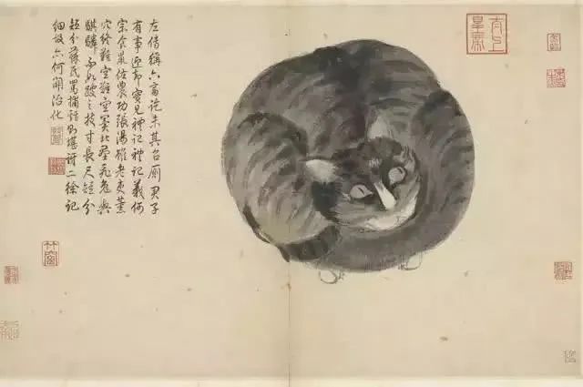 转移财产，害人无形 | 神秘莫测的猫鬼巫蛊术 图片11