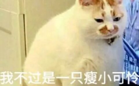 转移财产，害人无形 | 神秘莫测的猫鬼巫蛊术