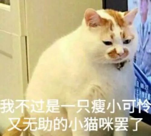 转移财产，害人无形 | 神秘莫测的猫鬼巫蛊术 图片21