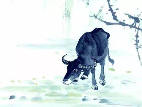 十二生肖最新吉凶运势指南2月6日~2月12日 图片3