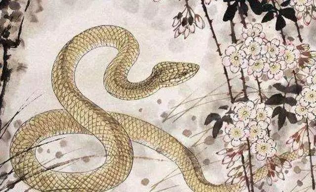 十二生肖最新吉凶运势指南2月6日~2月12日 图片11