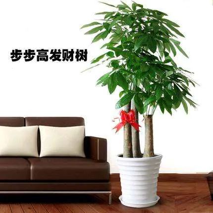 办公室和宿舍有小人需要怎么去化解 图片9