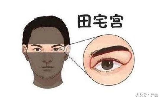 面相：如何看出一个人格局，他重情义还是重利益 图片17