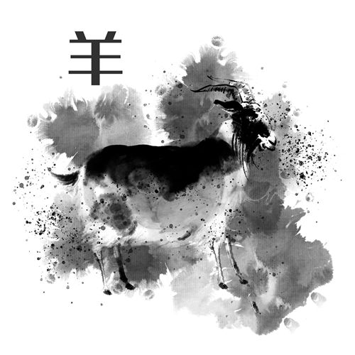 科普：你知道什么是犯太岁吗？ 图片11