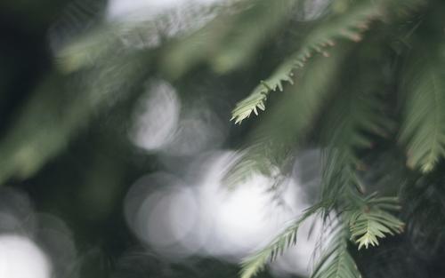 这几大星座女最排斥的交往对象不可不知！ 图片1