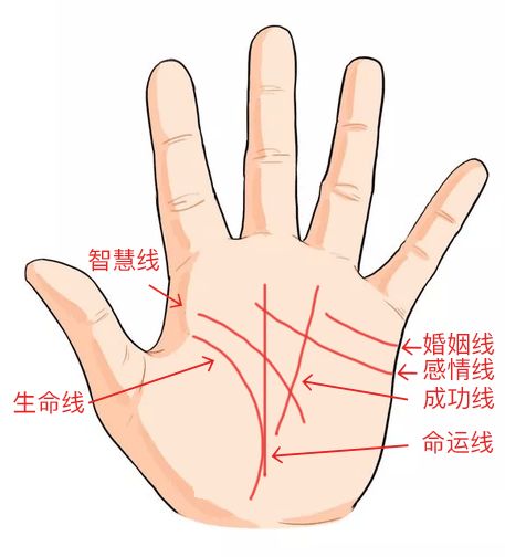手相还能合婚？教你如何凭手相找另一半 图片1