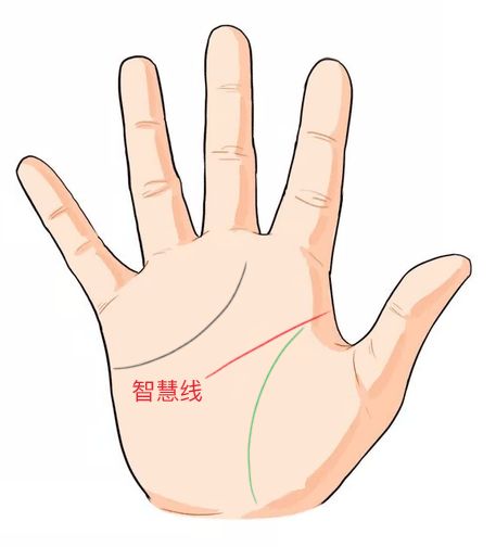 手相还能合婚？教你如何凭手相找另一半 图片5