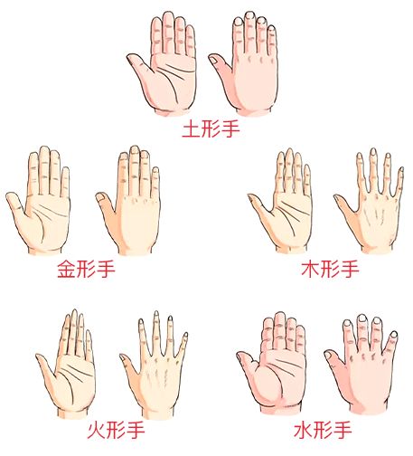 手相还能合婚？教你如何凭手相找另一半 图片9